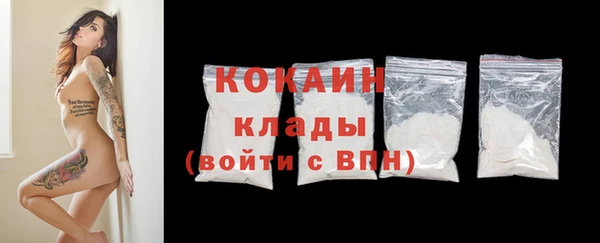 крисы Верея