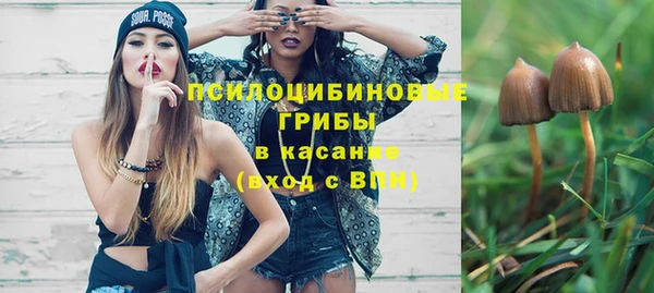 спиды Няндома