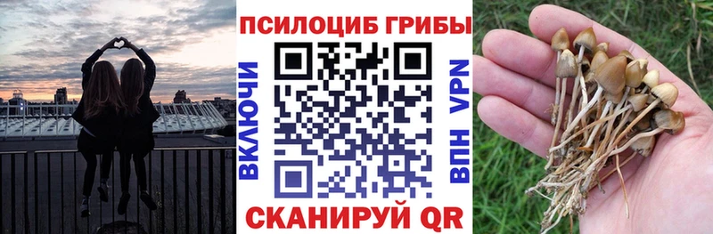 Галлюциногенные грибы Magic Shrooms  МЕГА зеркало  Задонск 